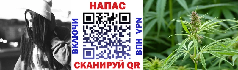 как найти   Суровикино  МАРИХУАНА OG Kush 
